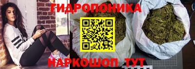 a pvp Бийск