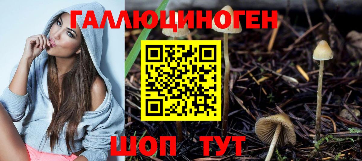 Псилоцибиновые грибы Psilocybe  Вход с VPN  Кинель 