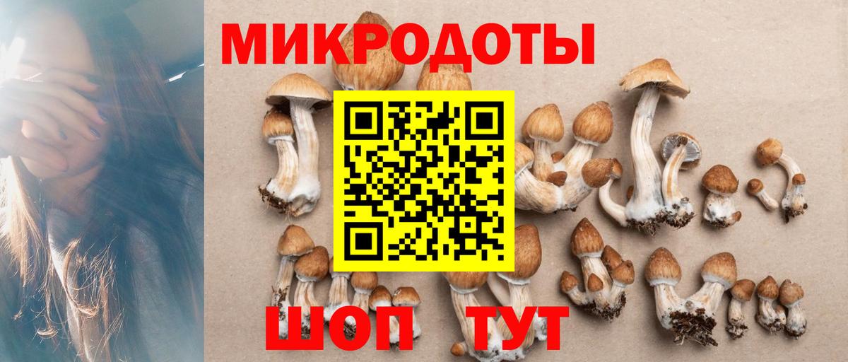 Галлюциногенные грибы мицелий Кинель